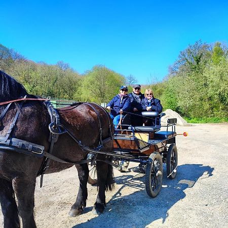 Eco-Gite La Chambre Du Vanneur Mentheville Kültér fotó