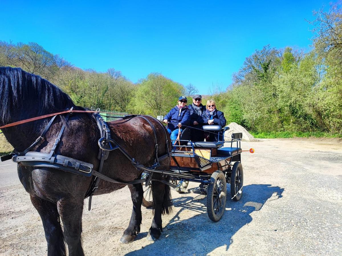 Eco-Gite La Chambre Du Vanneur Mentheville Kültér fotó