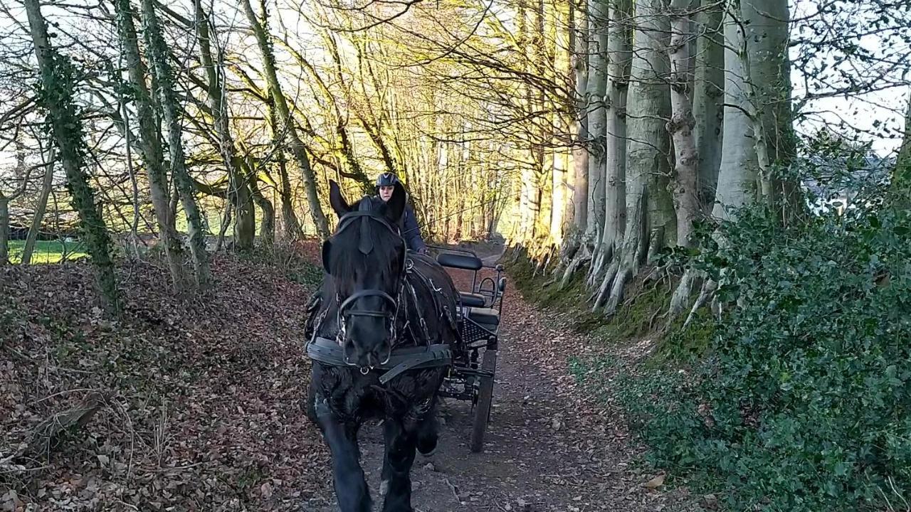 Eco-Gite La Chambre Du Vanneur Mentheville Kültér fotó